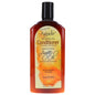 Agadir Argan Oil Daily Moisturizing Conditioner 12.4oz